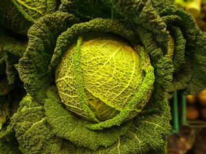 fresh produce